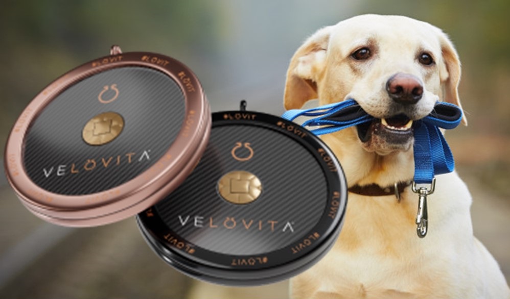 Protect Your Pets Frequency