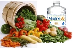 Best foods to keep your body alkaline with Alkaline Foods and Water