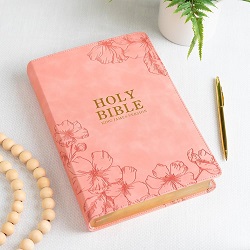 Here is a plush pink Bible to answer your question "What does the Bible say about angels?'