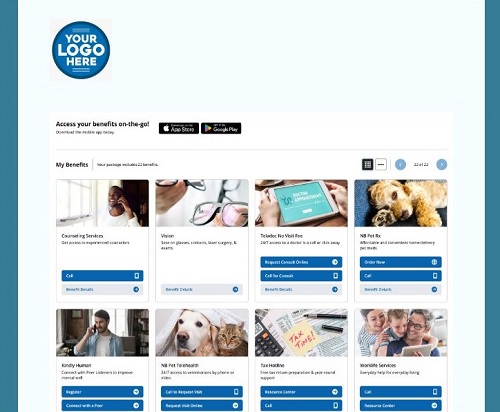 customizable-employee-benefits-savings-portal-500x412-a-treasure-trove-of-incredible-online0finds. customizable employee benefit plans with savings