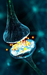 GABA, a natural calming  that helps to improve mood and focus naturally