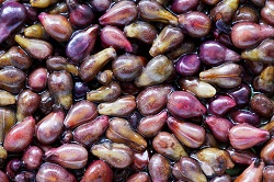 Grape Seed Extract helps to make Reserve the best longevity supplement for heart and brain health.
