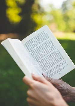 reading-marketing-is-freedom-250x334-a-treasure-trove-of-incredible-online-finds. marketing is freedom for entrepreneurs