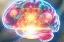 Colorful brain representing how to improve mood and focus naturally