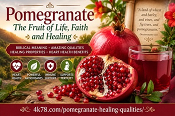 Pomegranate with healing properties, biblical meaning, and pomegranate juice benefits for heart health.